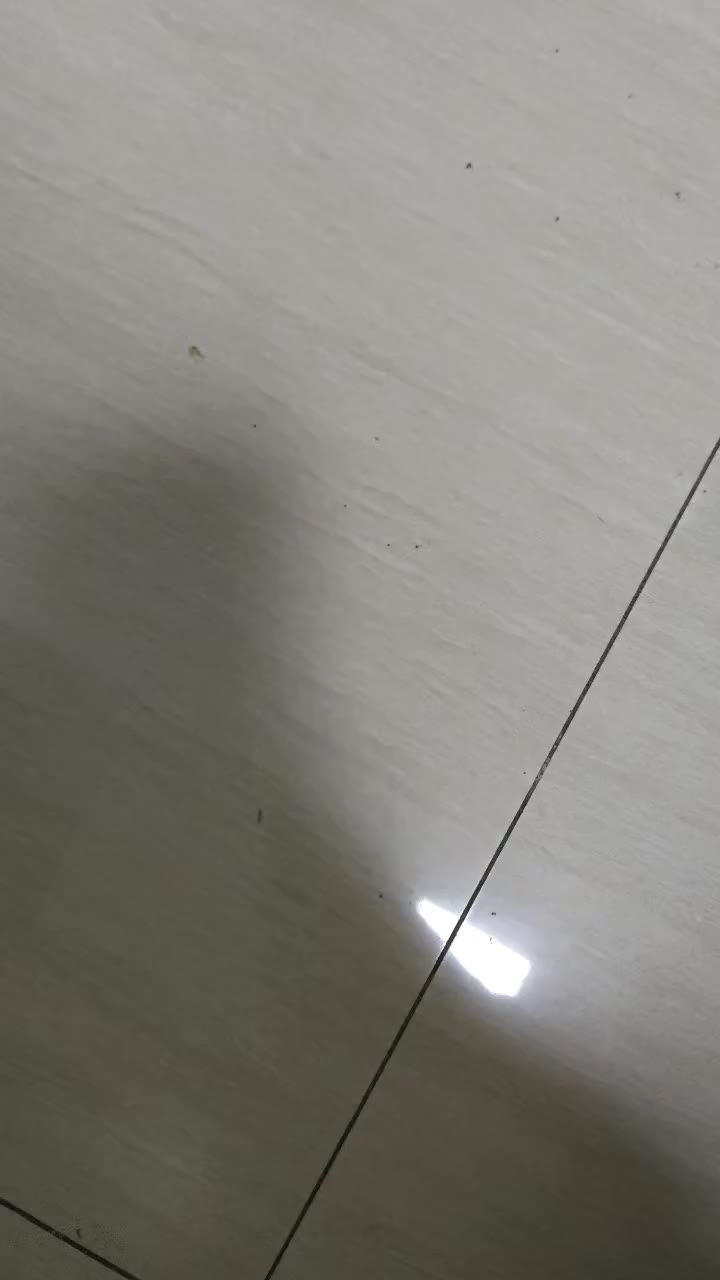 My floor